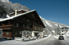 Отель Hotel Gasthaus Schwarzenstein, Гинцлинг